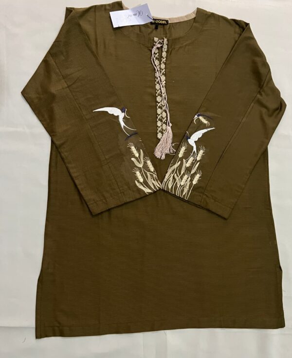 women cotton embroidered shirt